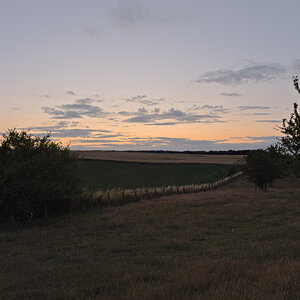 P7052195-dprf.jpg