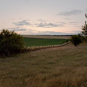 P7052195-dprf2.jpg