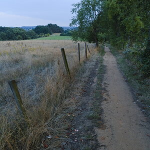 P7210032-dprf.jpg