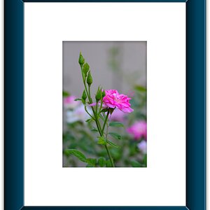 Flower Framed (6A).jpeg