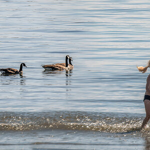 Running girl.jpg