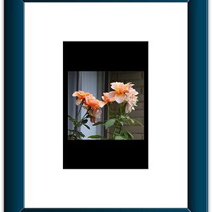 Flower:Black 3B.jpeg