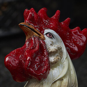 dsc05482-1.jpg