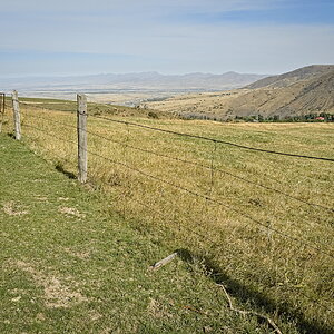 P9070371-dprf.jpg