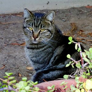 IMG_2509.jpeg