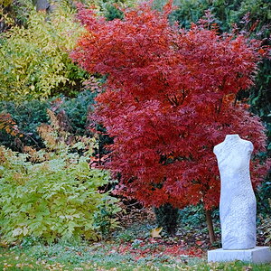 PB190080-dprf.jpg