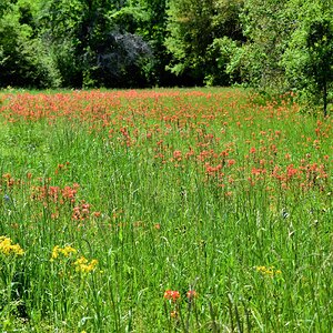 DSC_1824.JPG