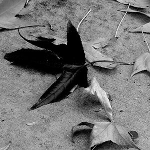 L1020457.jpeg