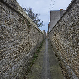 810_4486.jpg