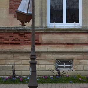 810_7273-2.jpg