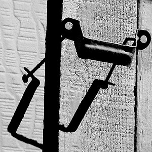 L1020673.jpeg