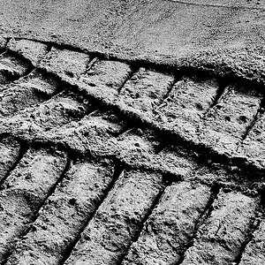 850_5394.jpg