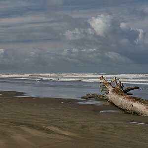 ocean-shores-2014.jpg