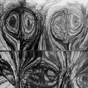 810_7372.jpg