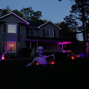 PA050165_1200.jpg