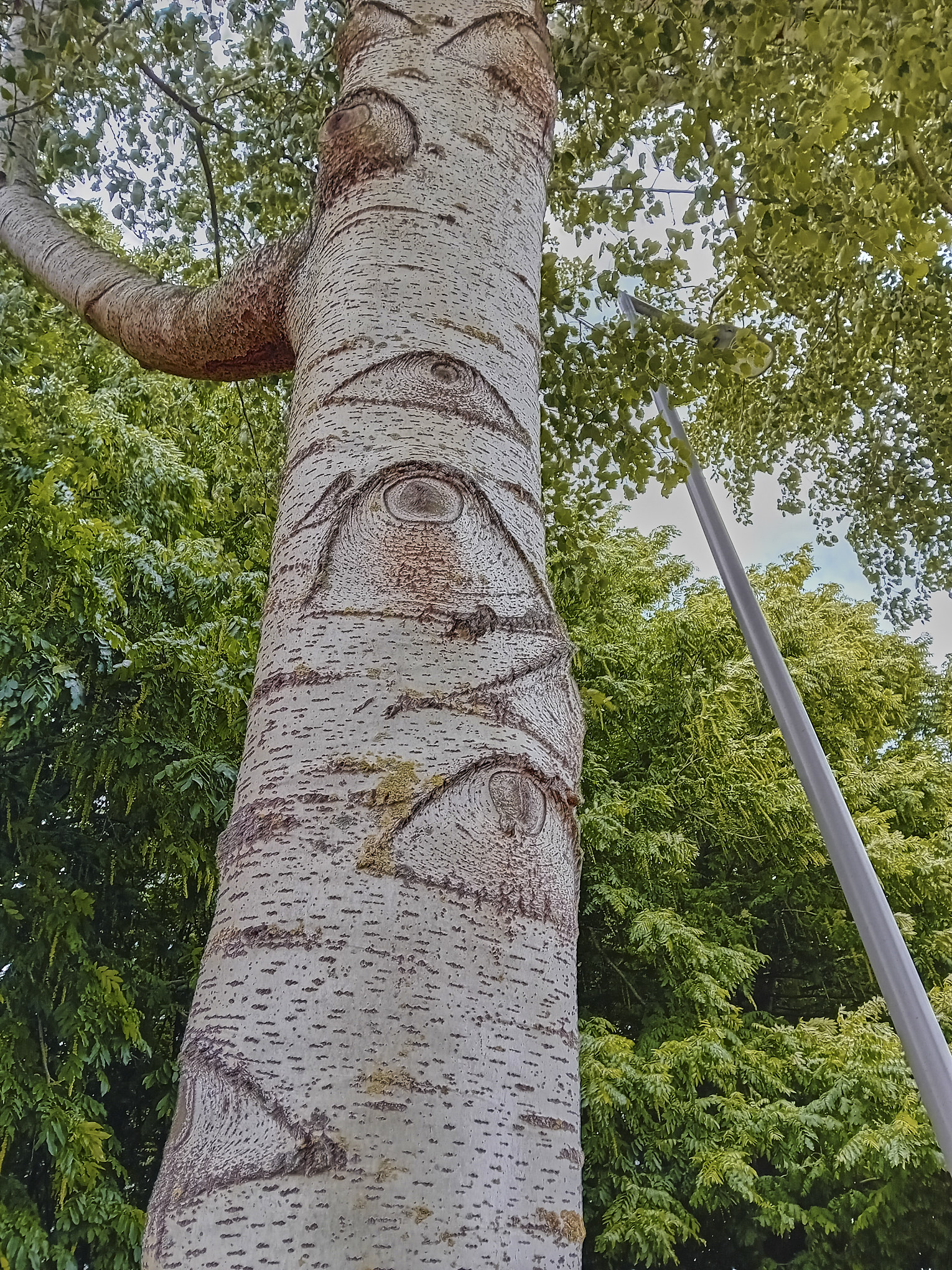 20230702_184434_1.jpg