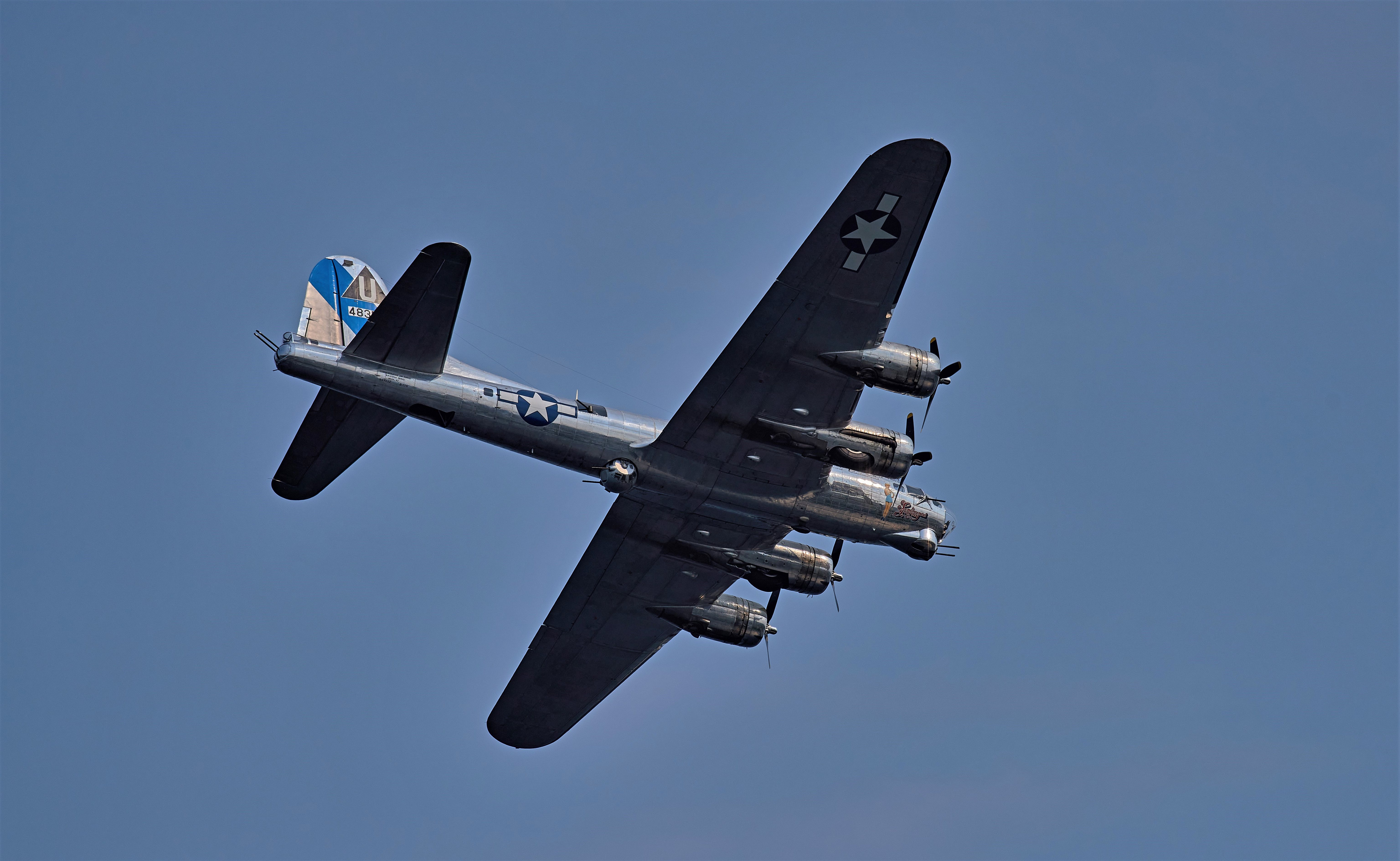 53190187403_e4eaf1cb28_6k.jpg