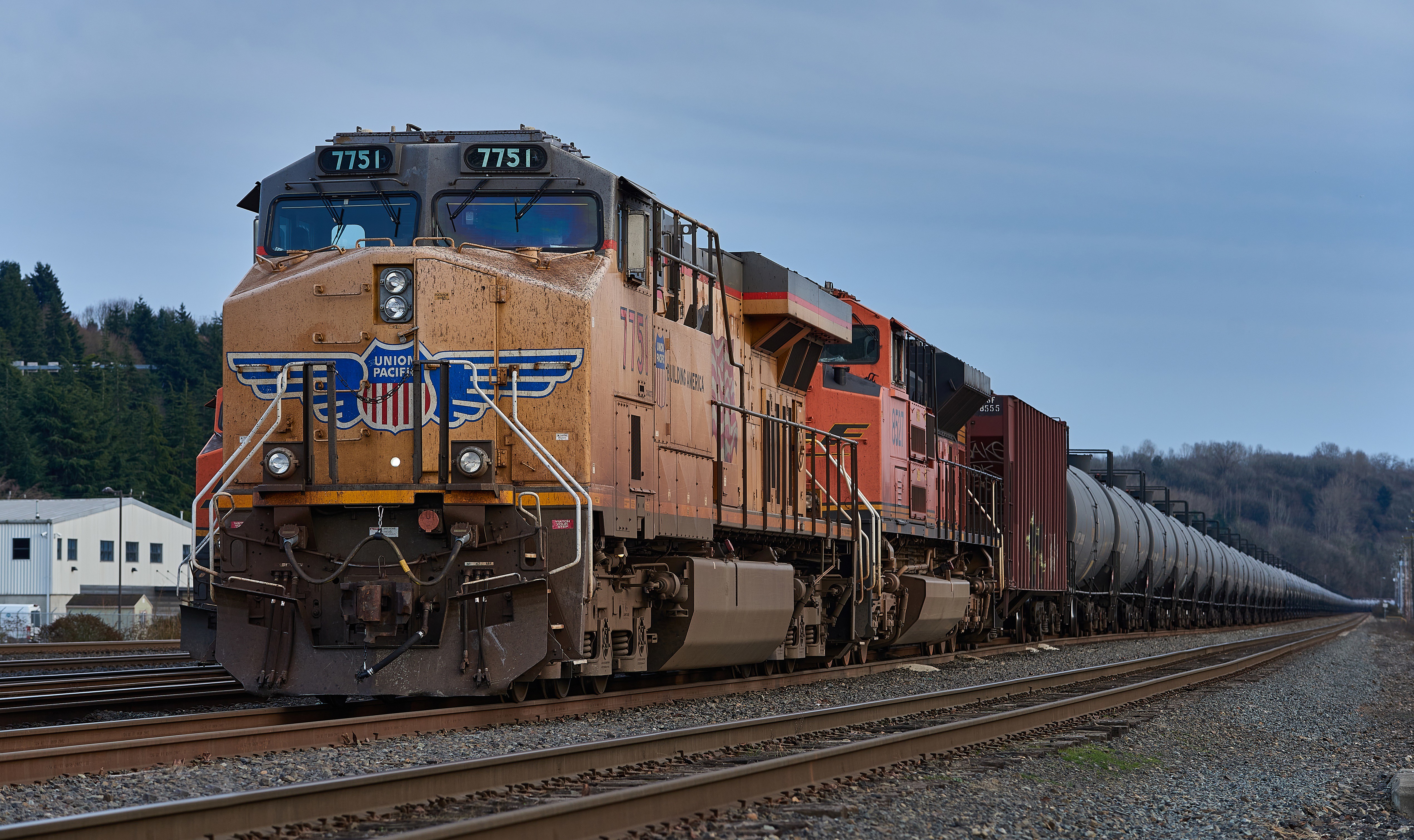 53476268077_13af7631e6_5k.jpg