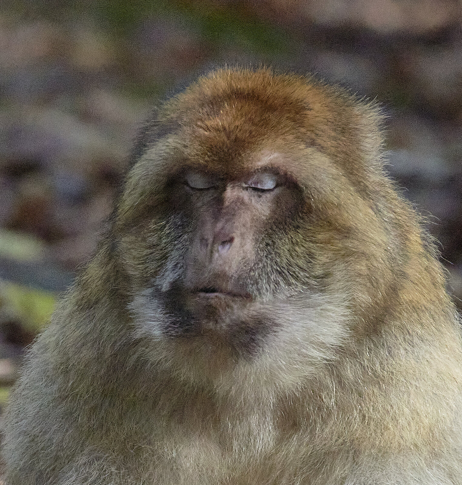 810_2063.jpg