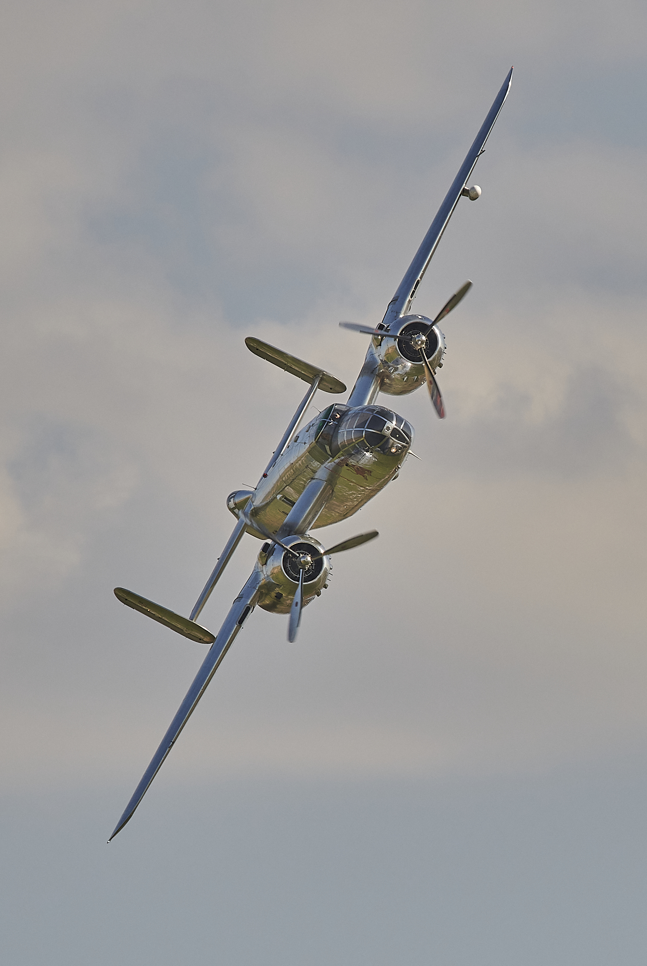 850_1919-1.jpg