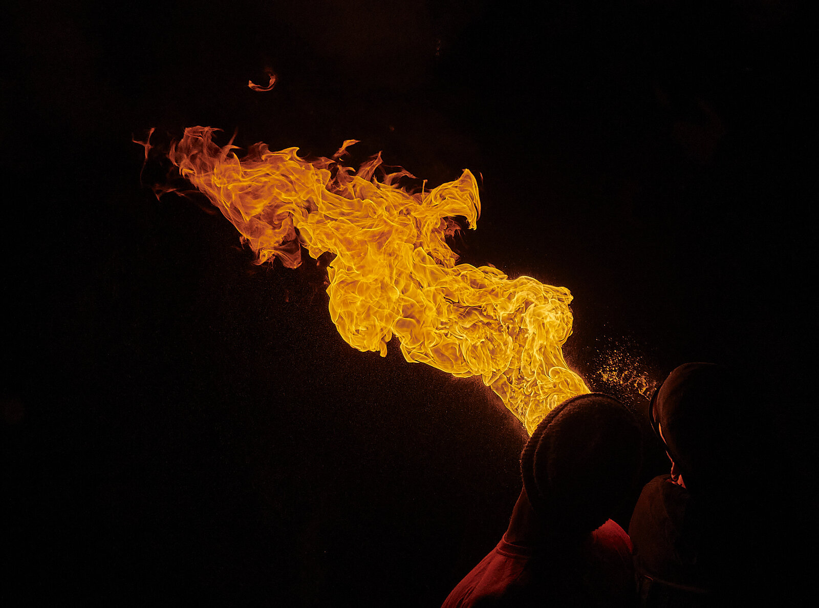 850_4646.jpg