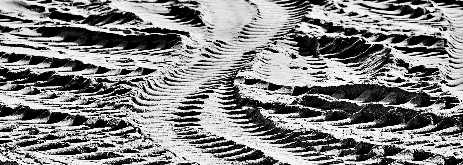 850_5401.jpg