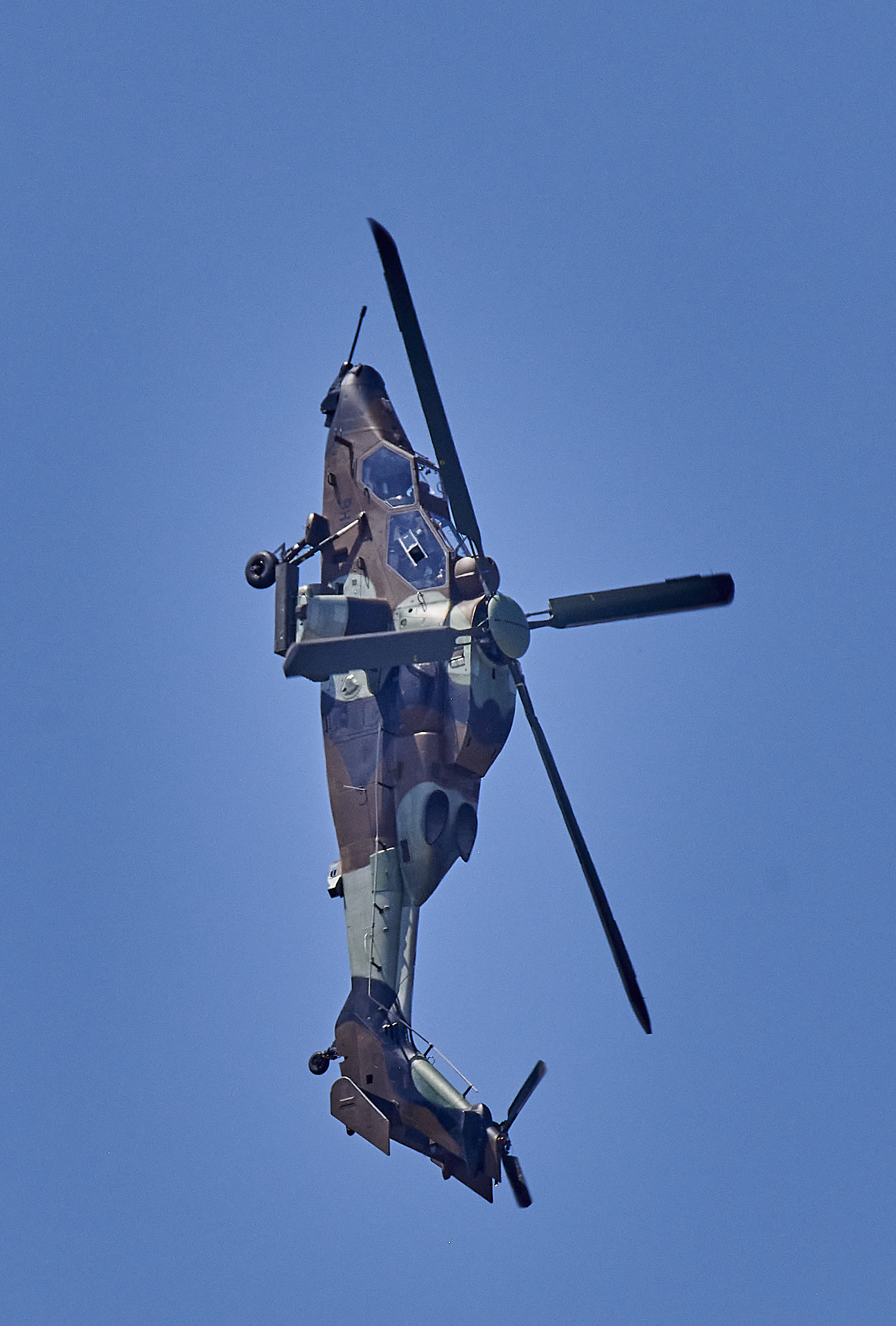 850_6962.jpg
