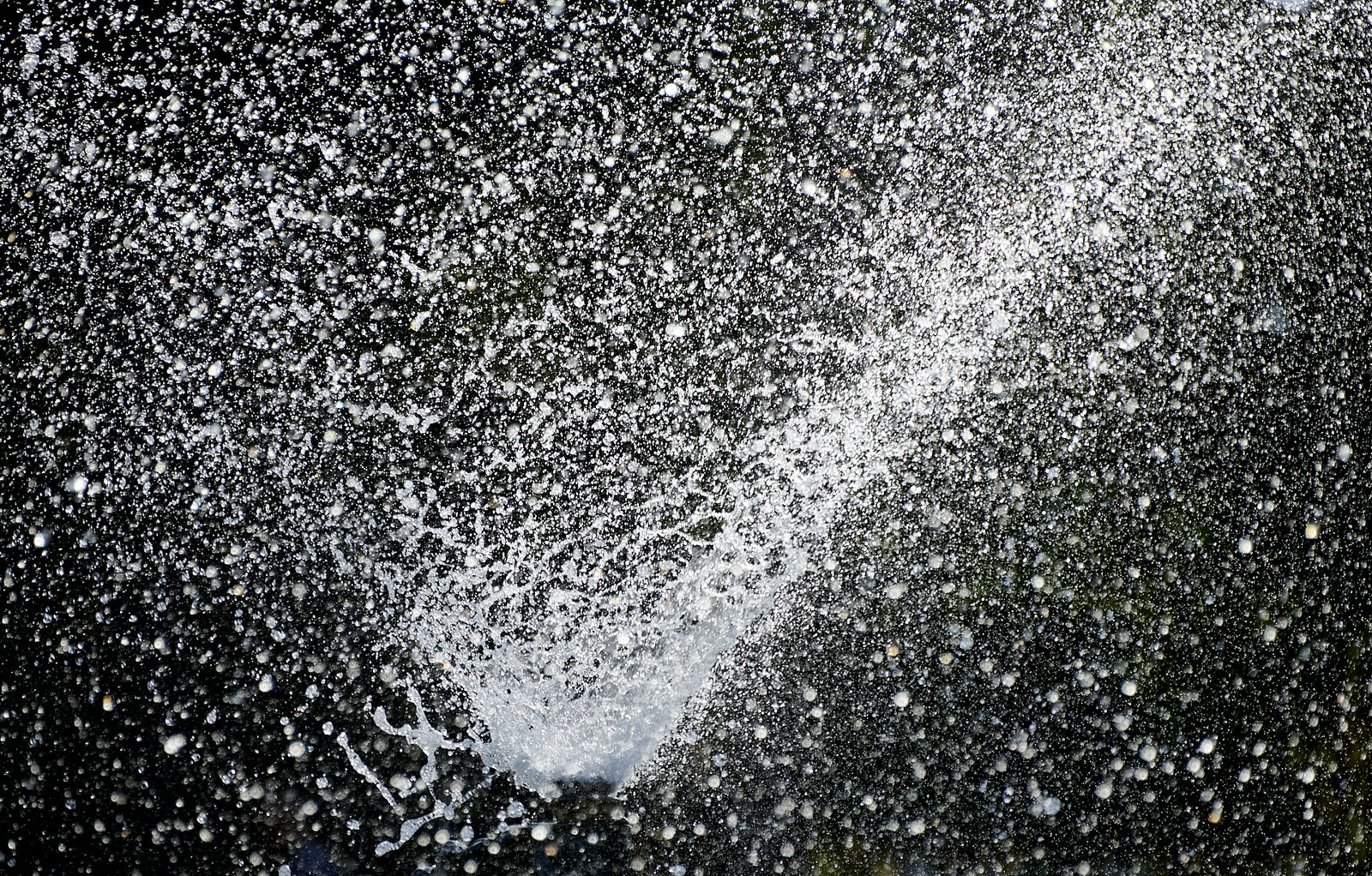 850_9378.jpg