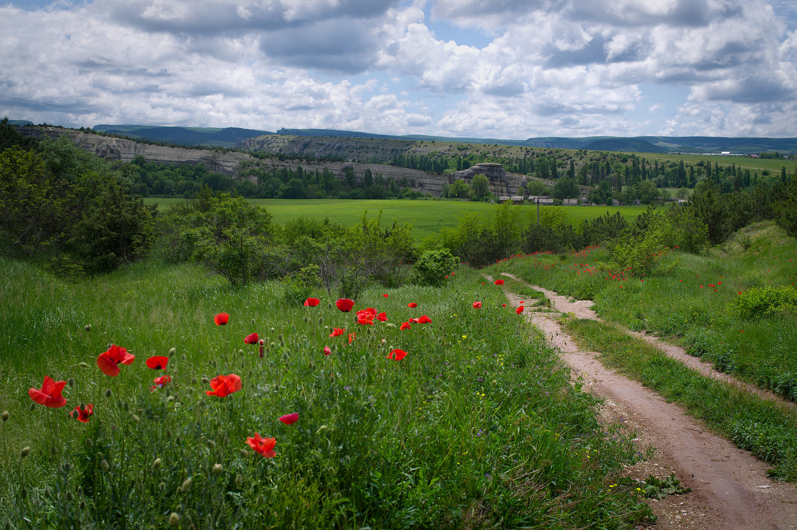 _KM24288_DxO_Crimea_2022_ff_1920.jpg