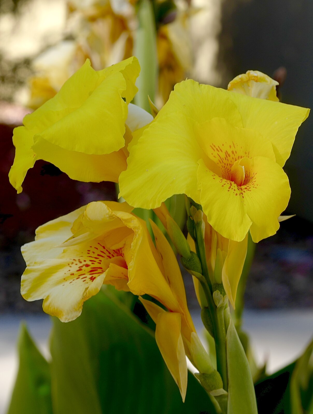 DO01020124.jpeg