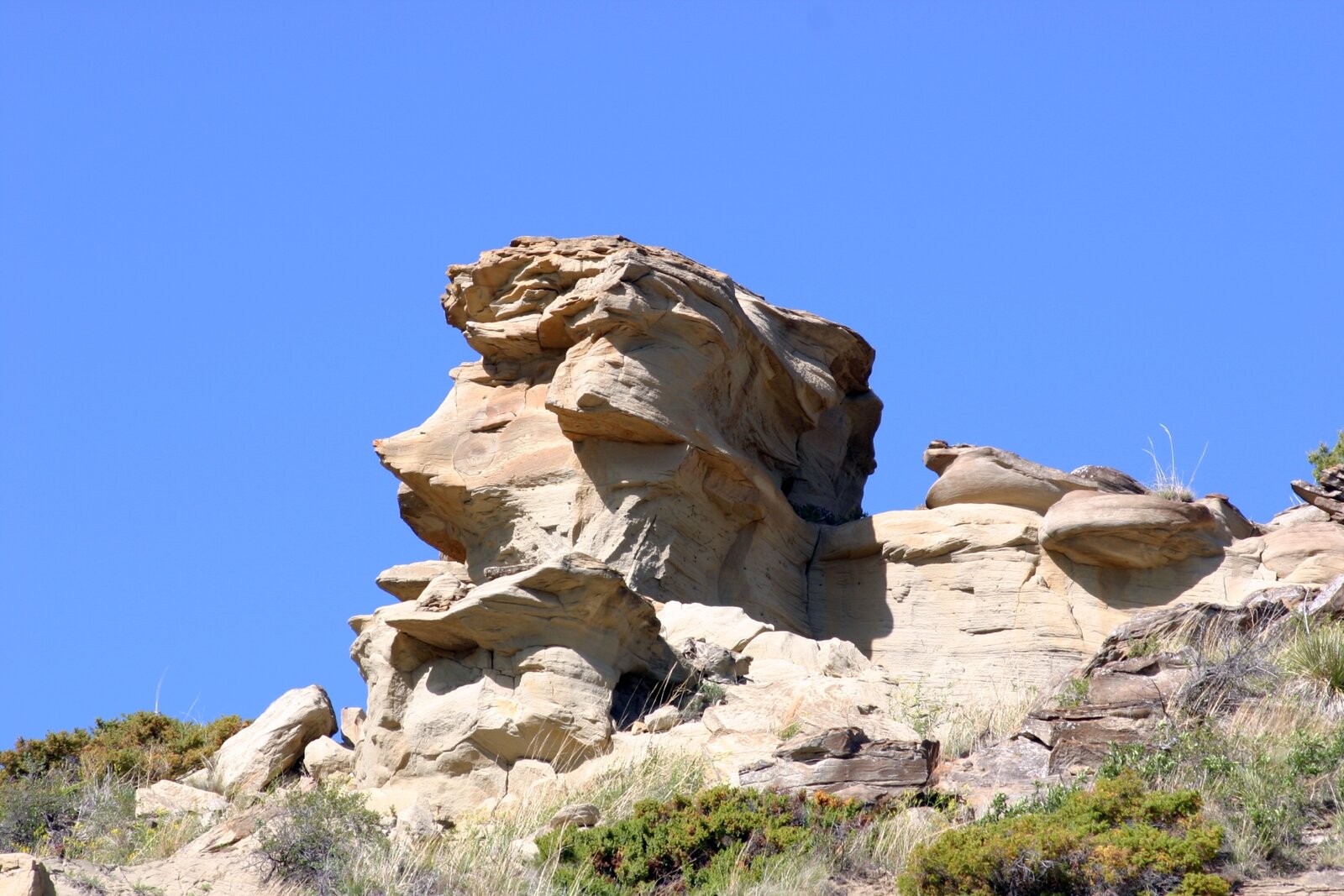 DRIMG_0700.jpg