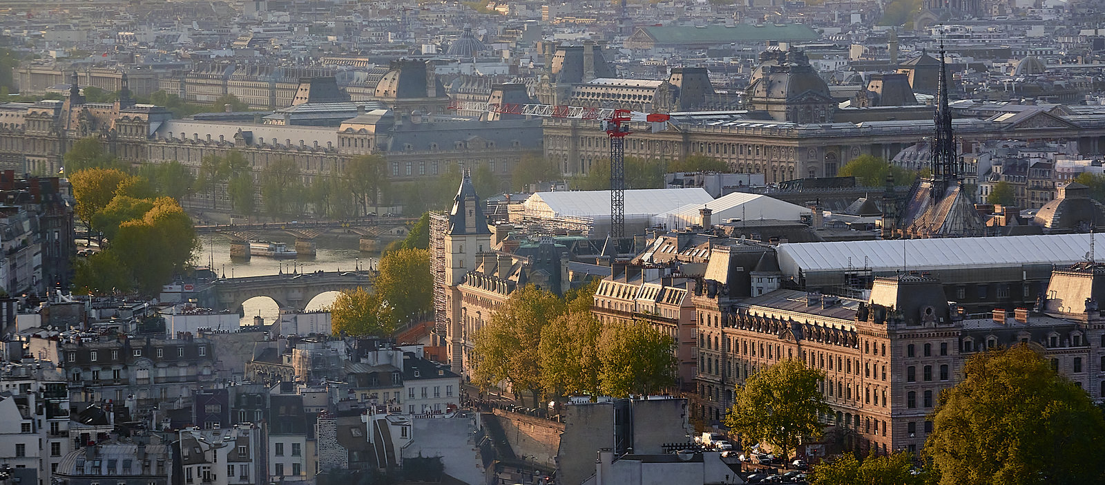 DSC00781.jpg