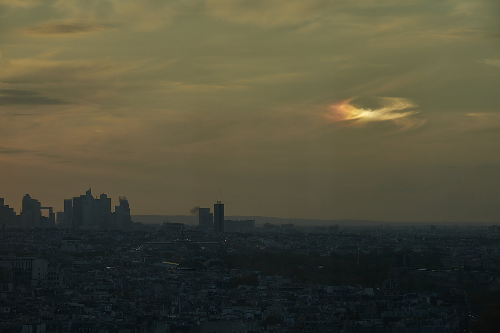 DSC00833.jpg