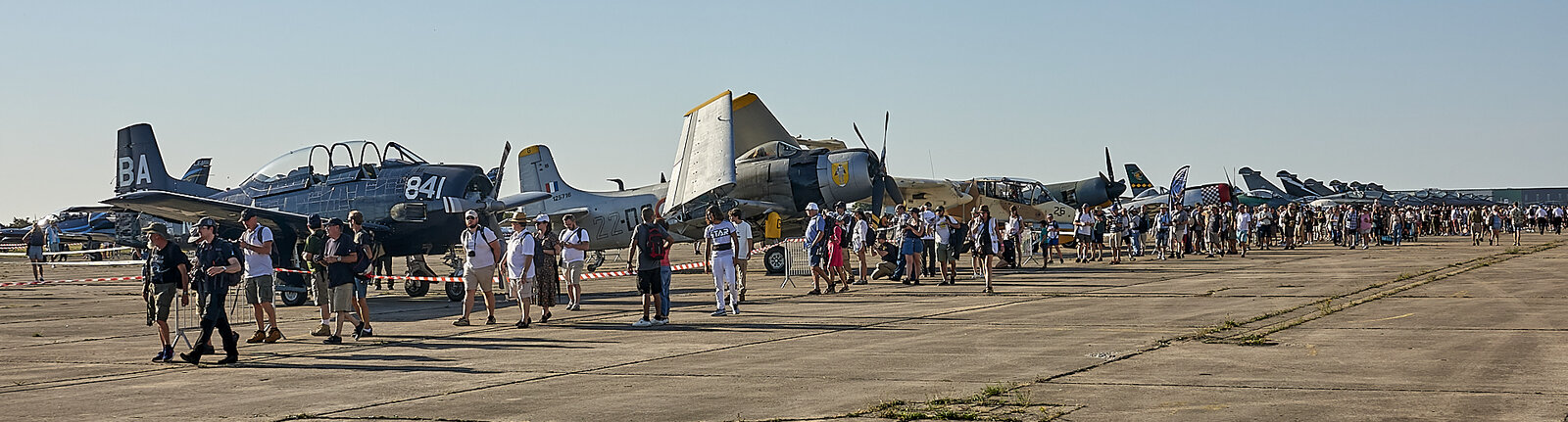 dsc05795-1.jpg