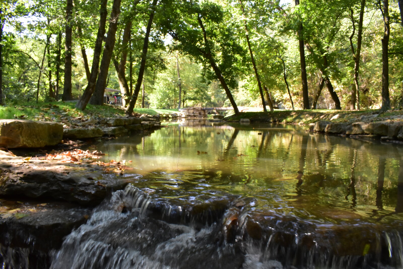 DSC_0388.JPG