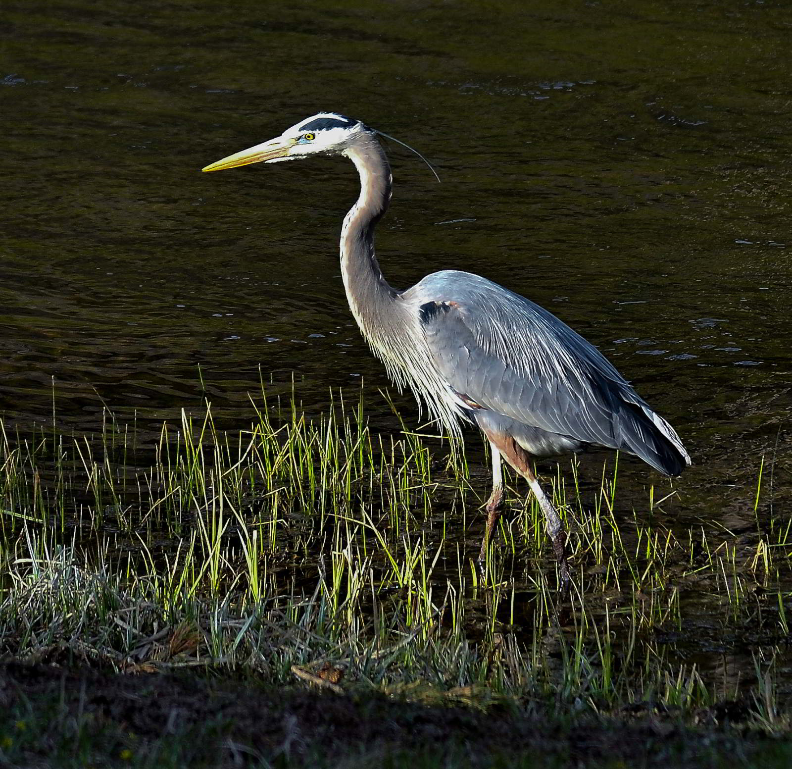 DSC_5394_edit1458C_01.JPG