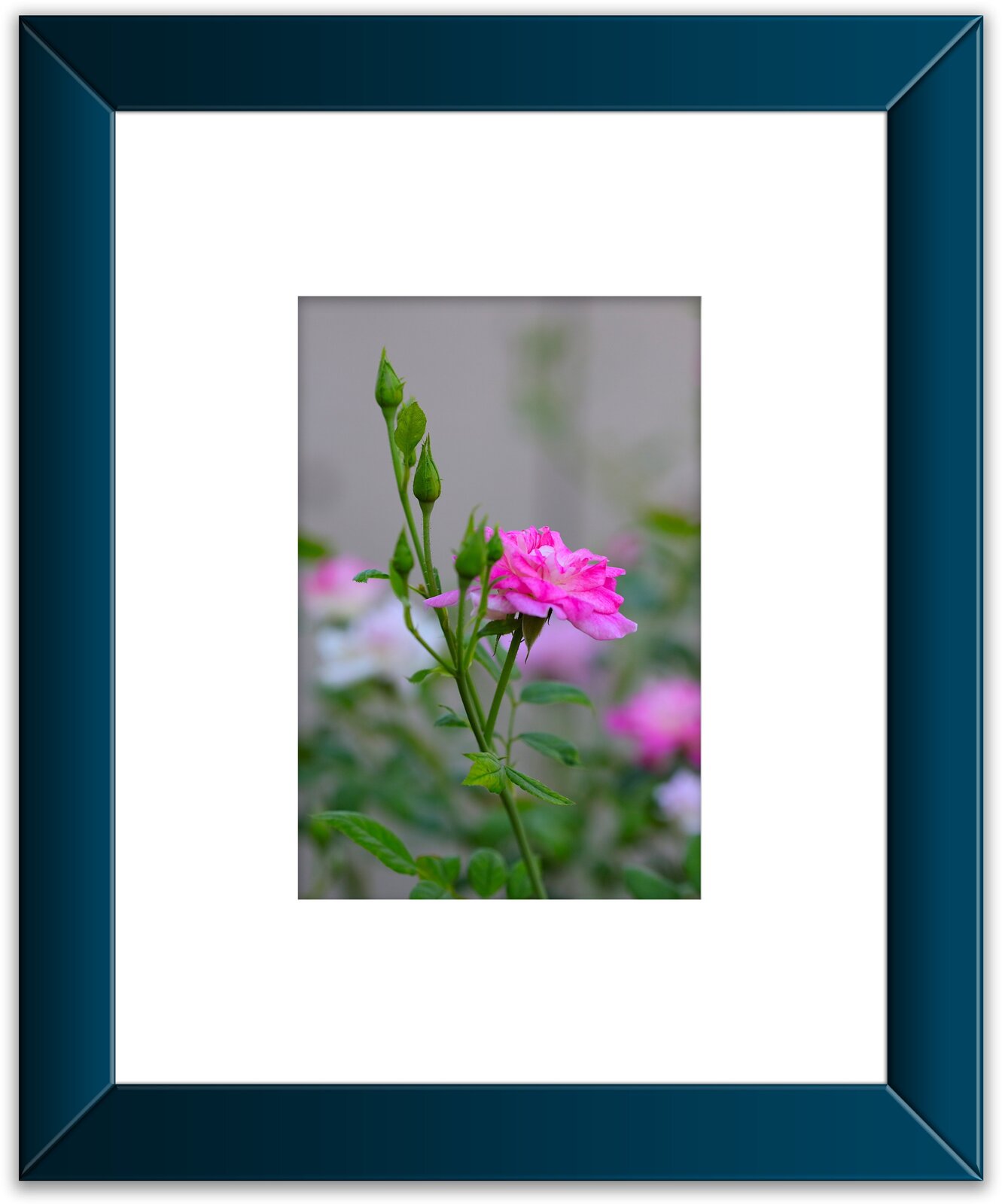 Flower Framed (6A).jpeg