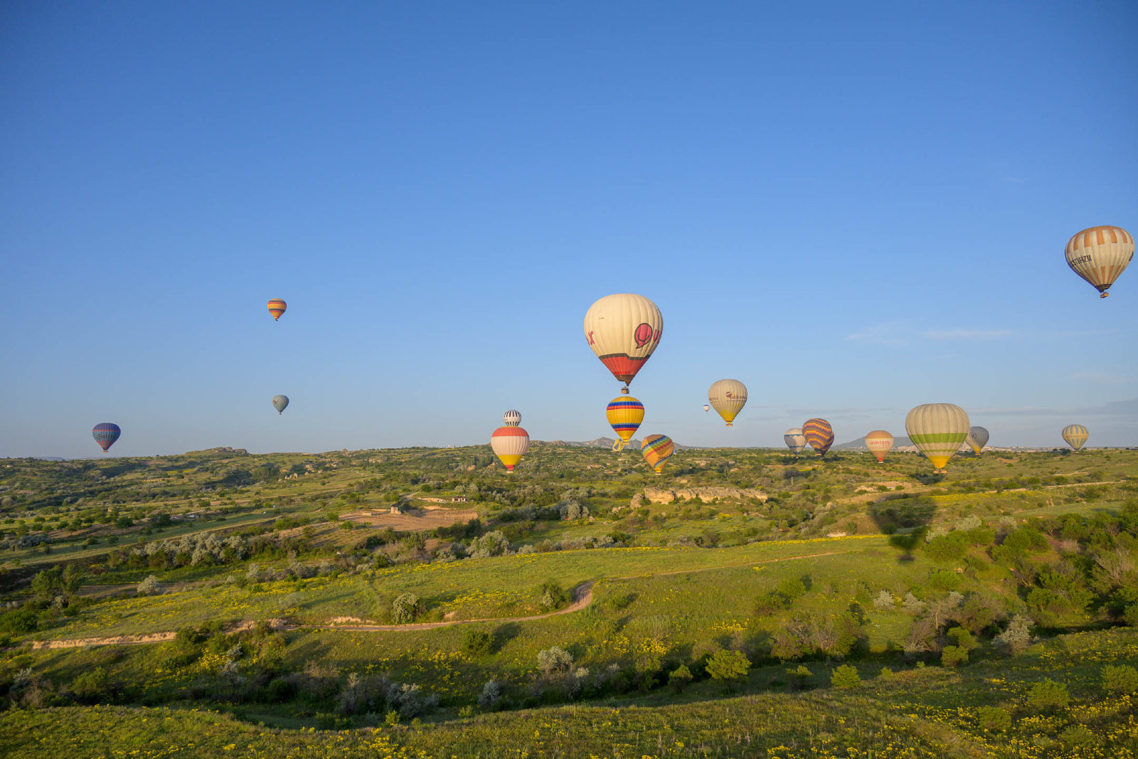 Hot Air Balloons-2.jpg