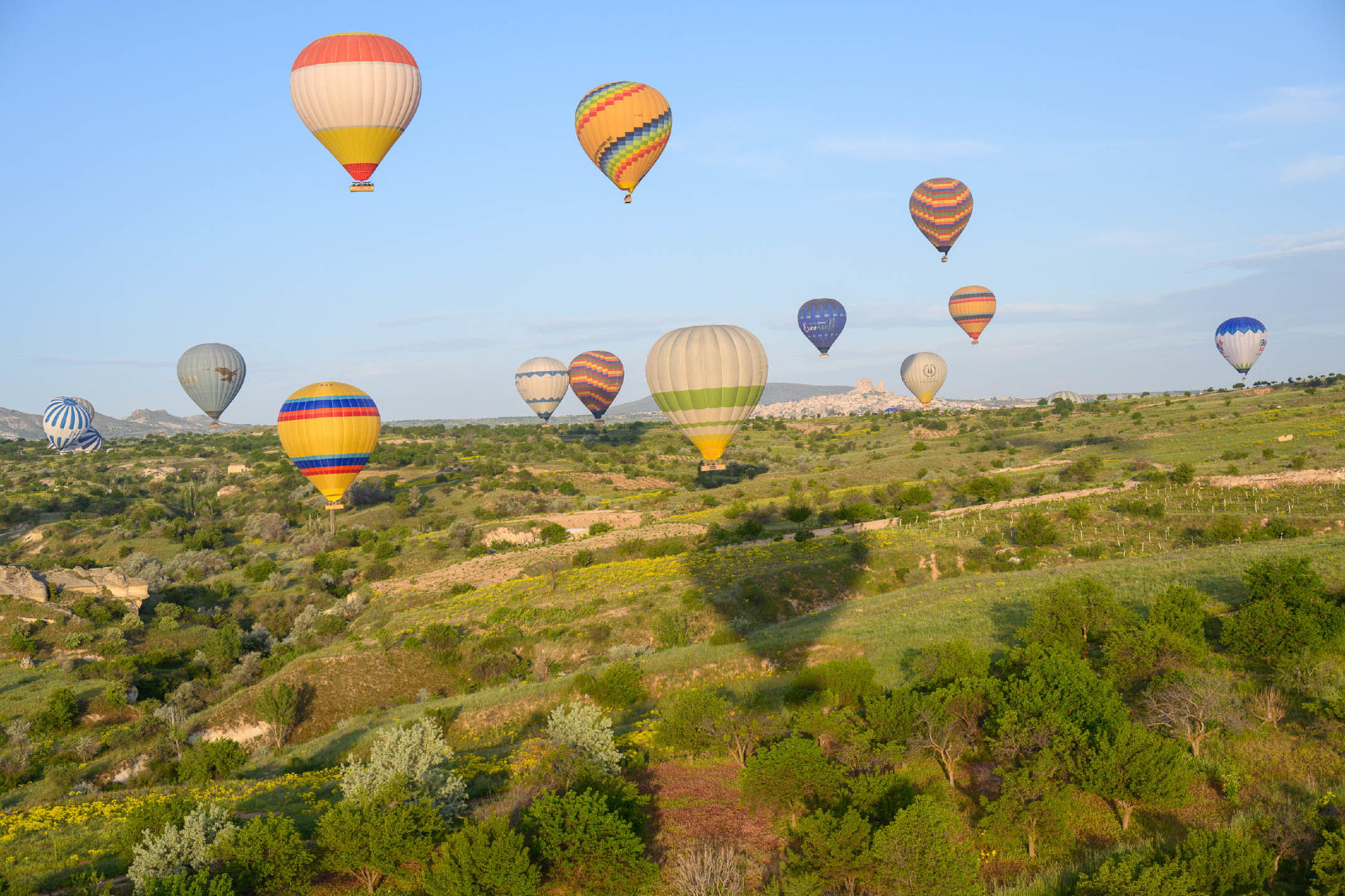 Hot Air Balloons-4.jpg