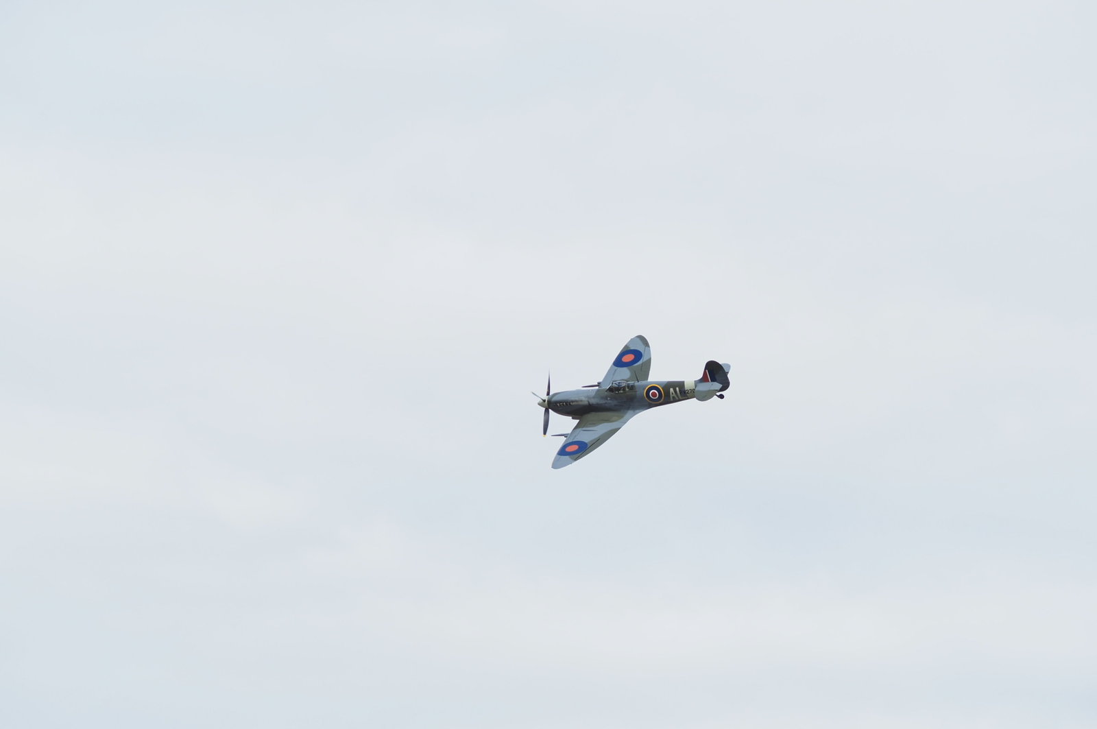 IMG_0801.jpeg