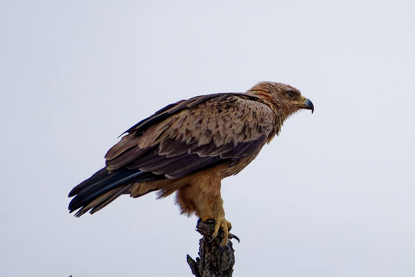 IMG_5057_DxO.jpg