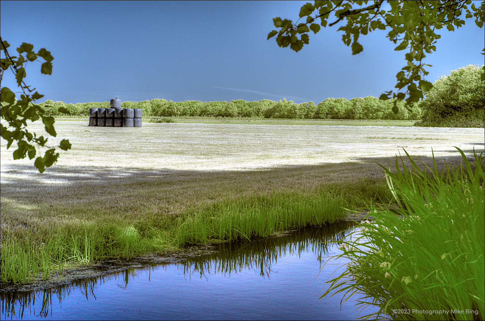 IRGP8743-Rongebos-HD-FA-43mm-ISO100_tonemapped_tonemapped-dt-2023-web.jpg