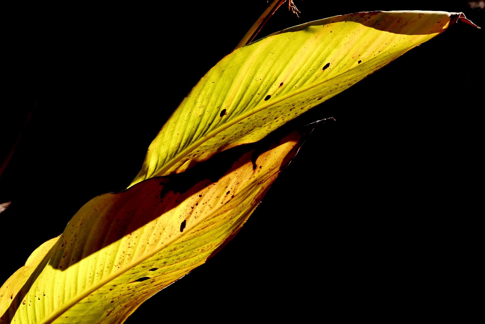 L1000628.jpeg