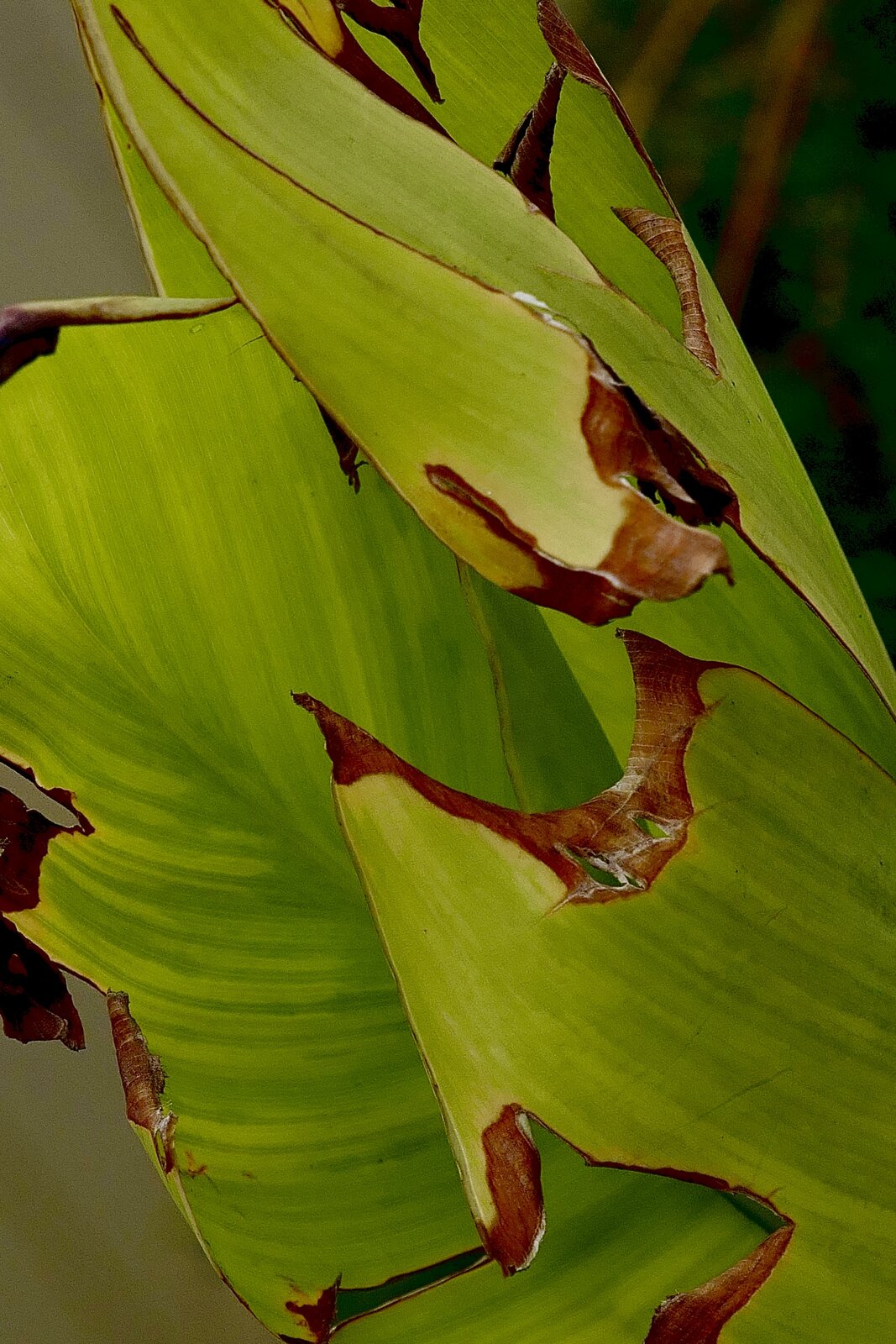 L1020534.jpeg