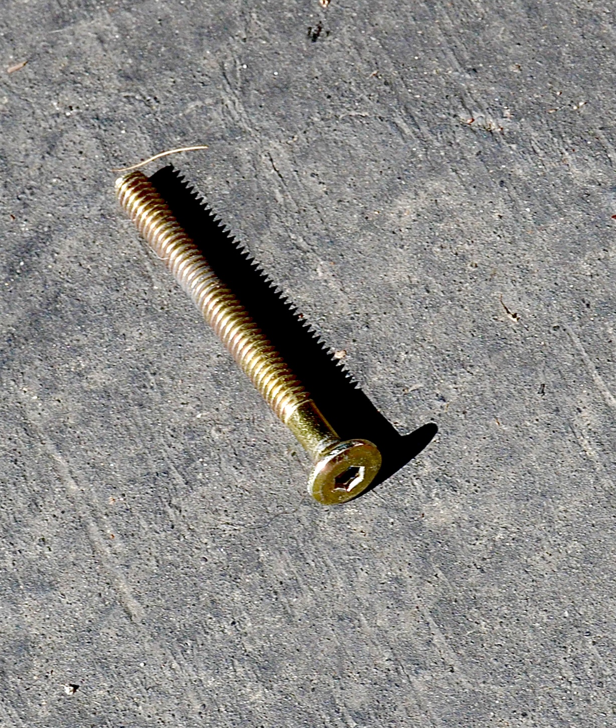 L1020681.jpeg