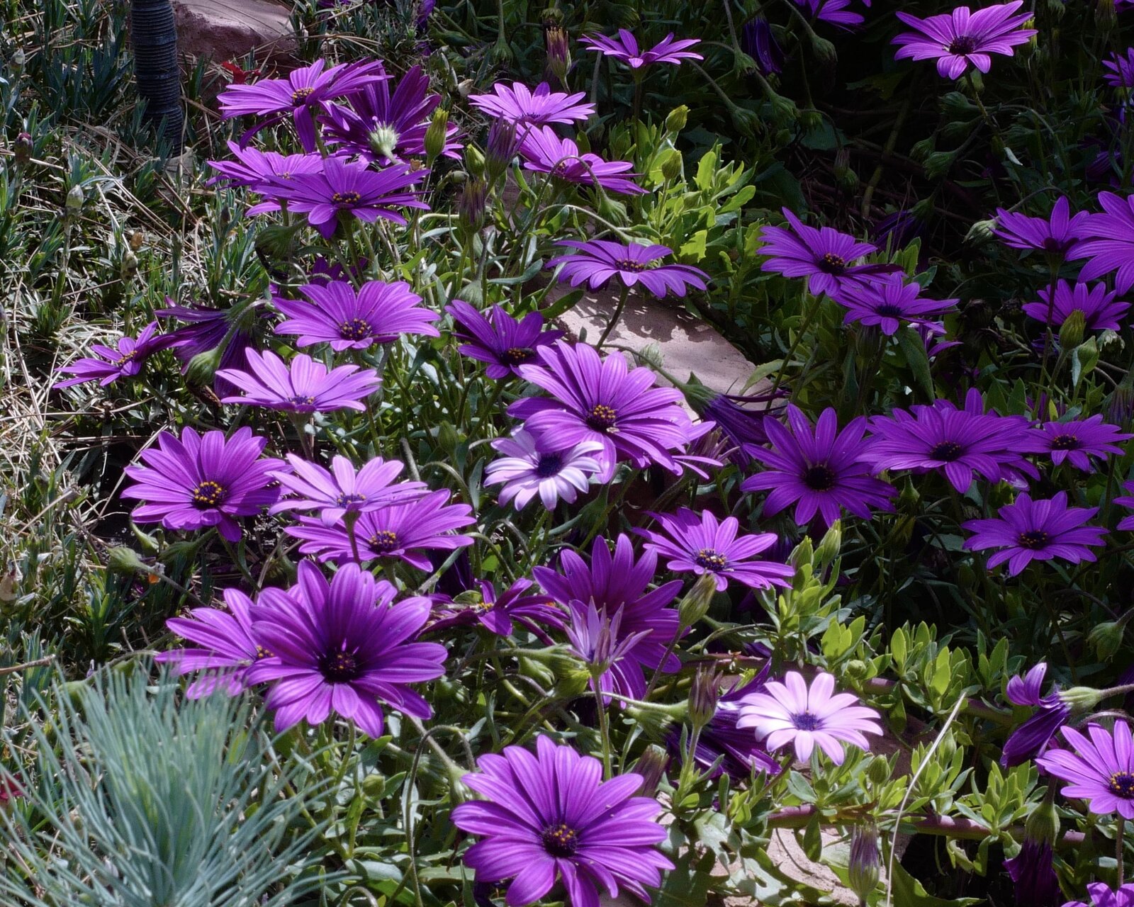 L1020846.JPG