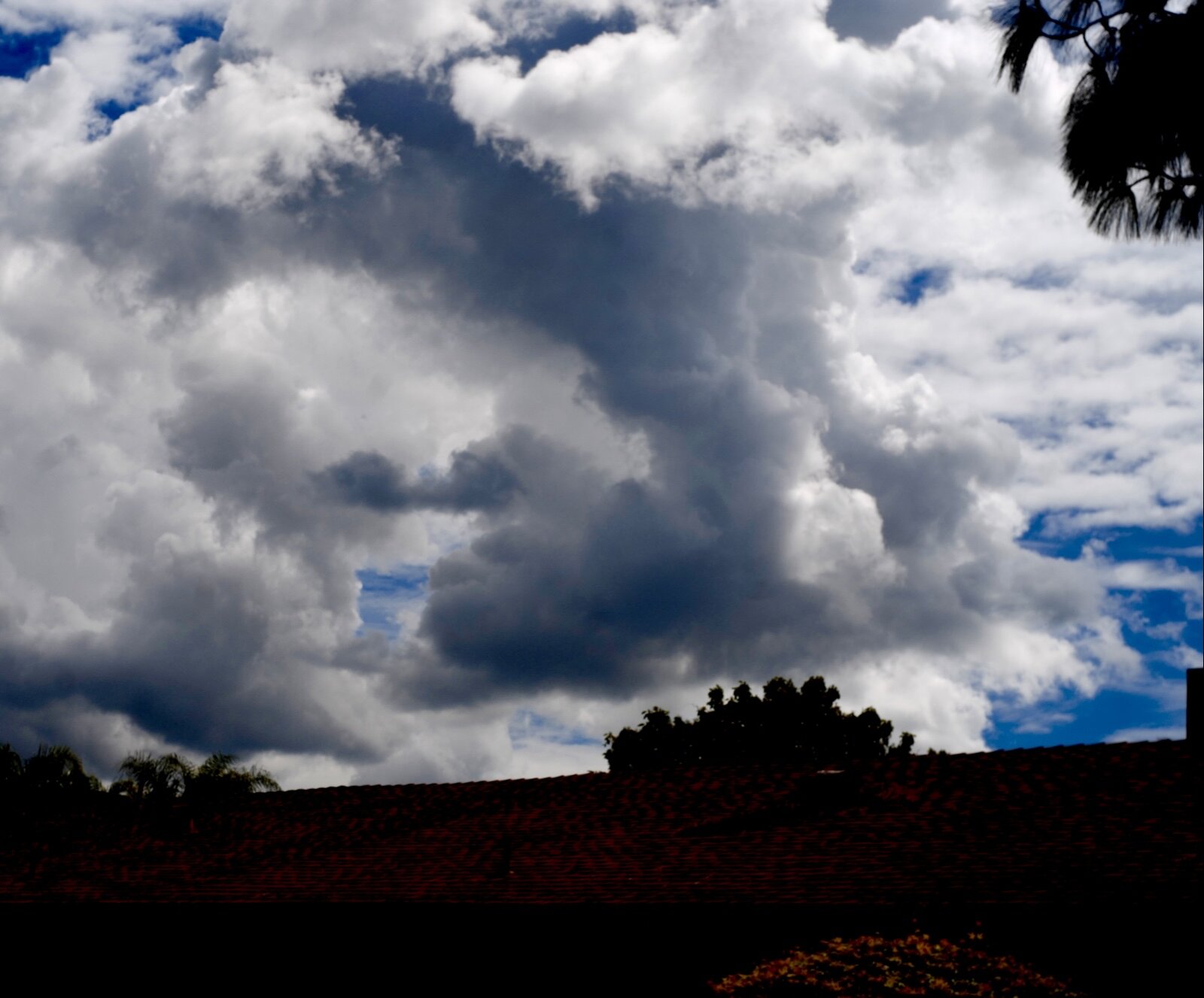 L1020849.jpg