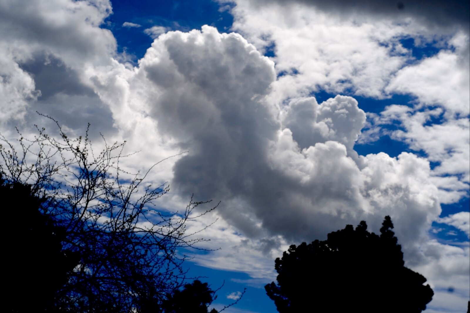 L1020850.jpg