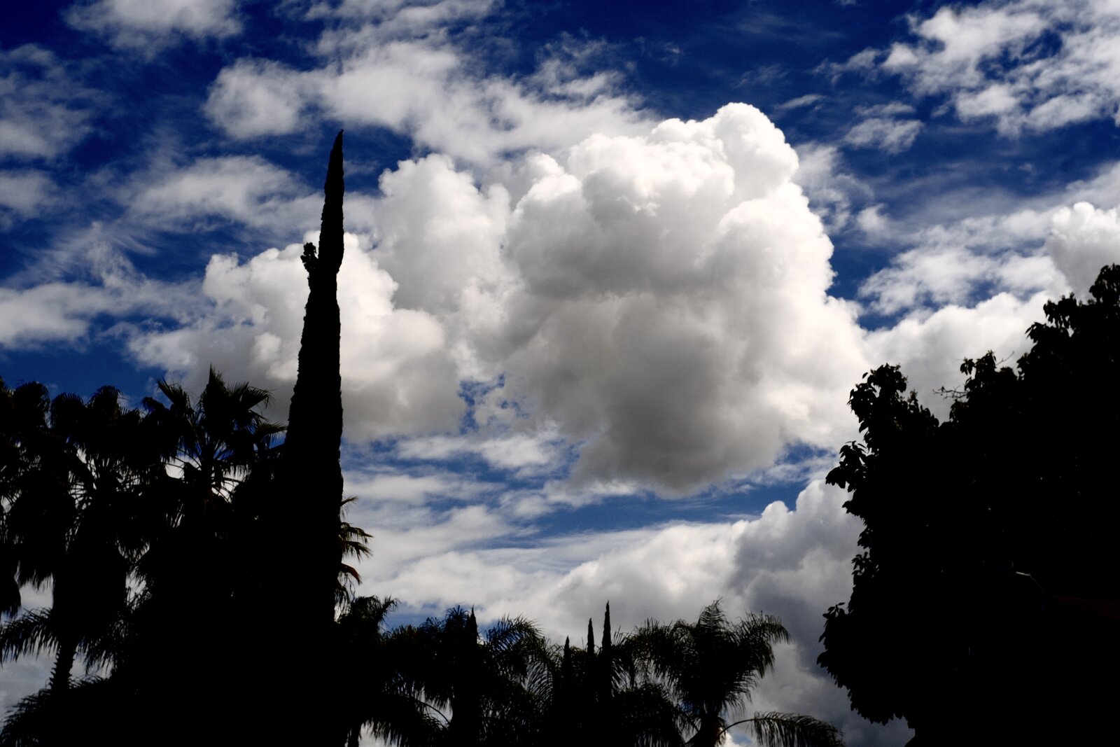 L1020852.JPG