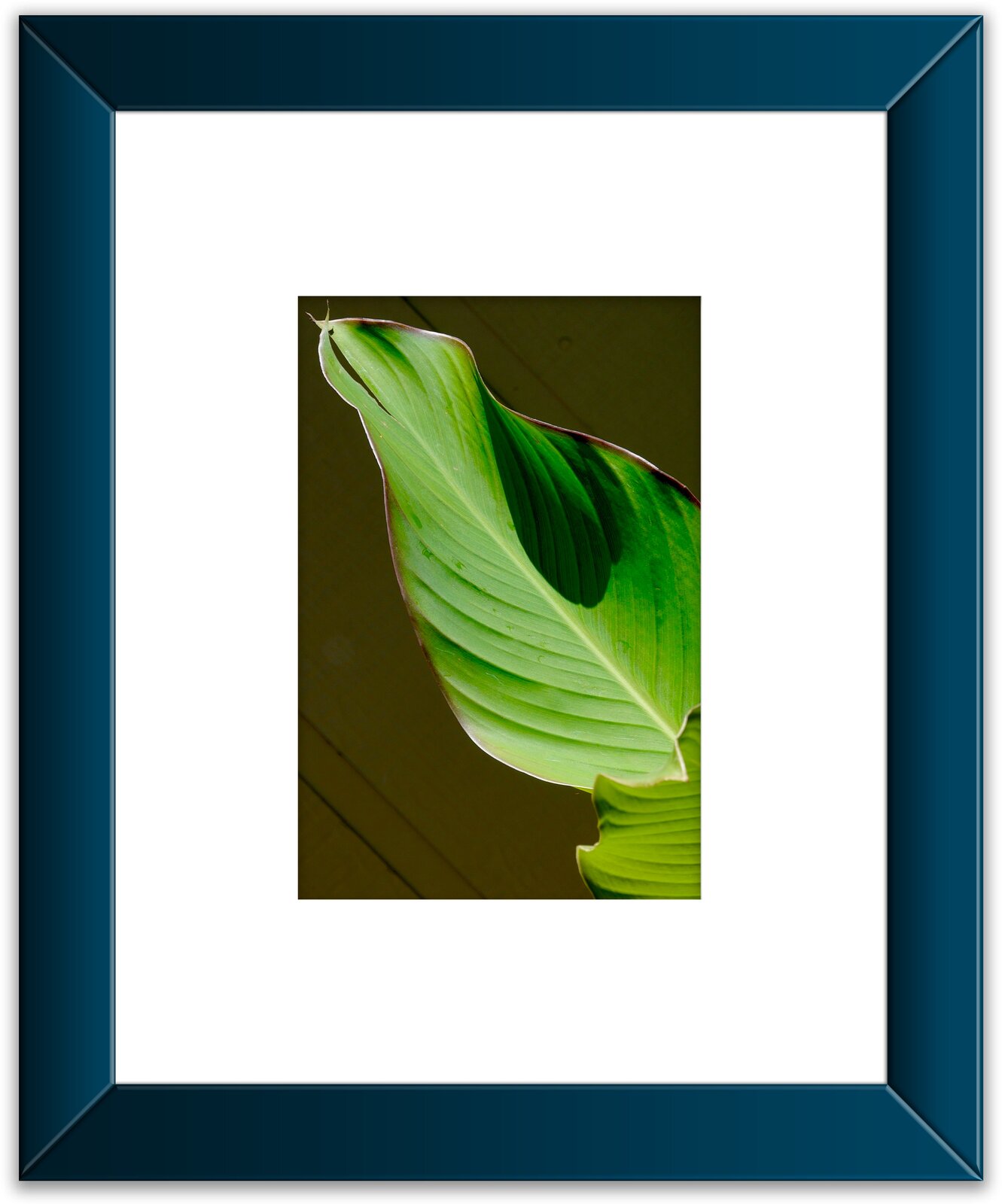 Leaf Framed 12A.jpeg